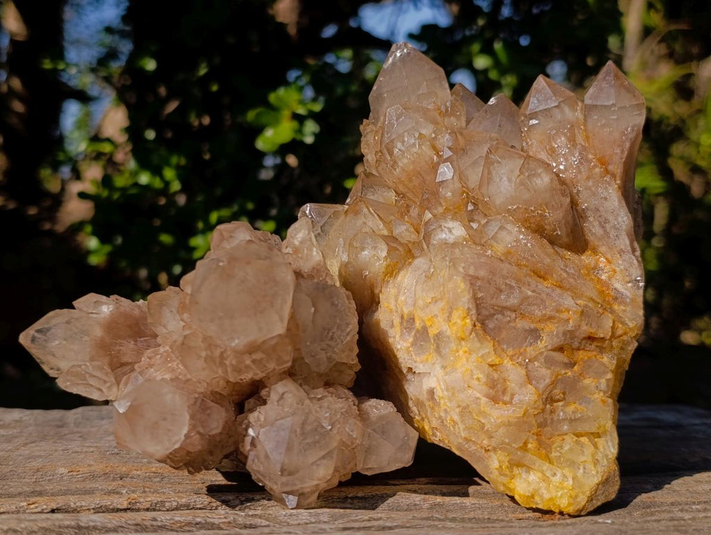 Natural Cascading White Phantom Smokey Luena Quartz Clusters x 2 From Luena, Congo - Toprock Gemstones and Minerals 