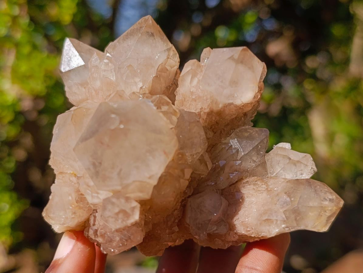 Natural Cascading White Phantom Smokey Luena Quartz Clusters x 2 From Luena, Congo - Toprock Gemstones and Minerals 