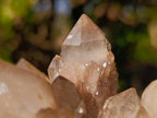 Natural Cascading White Phantom Smokey Luena Quartz Clusters x 2 From Luena, Congo - Toprock Gemstones and Minerals 