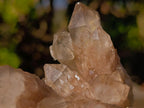Natural Cascading White Phantom Smokey Luena Quartz Clusters x 2 From Luena, Congo - Toprock Gemstones and Minerals 