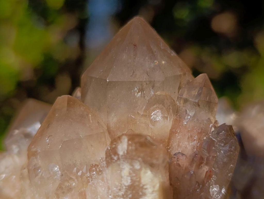 Natural Cascading White Phantom Smokey Luena Quartz Clusters x 2 From Luena, Congo - Toprock Gemstones and Minerals 