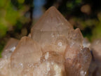 Natural Cascading White Phantom Smokey Luena Quartz Clusters x 2 From Luena, Congo - Toprock Gemstones and Minerals 