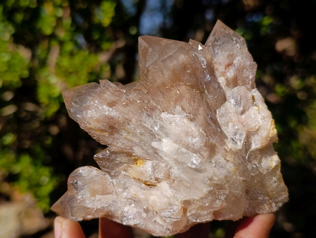 Natural Cascading White Phantom Smokey Luena Quartz Clusters x 2 From Luena, Congo - Toprock Gemstones and Minerals 