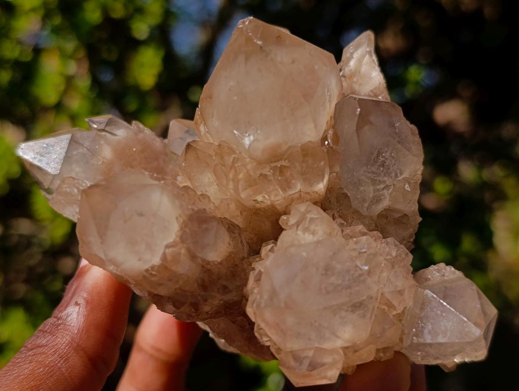 Natural Cascading White Phantom Smokey Luena Quartz Clusters x 2 From Luena, Congo - Toprock Gemstones and Minerals 