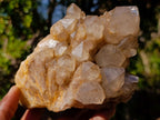 Natural Cascading White Phantom Smokey Luena Quartz Clusters x 2 From Luena, Congo - Toprock Gemstones and Minerals 