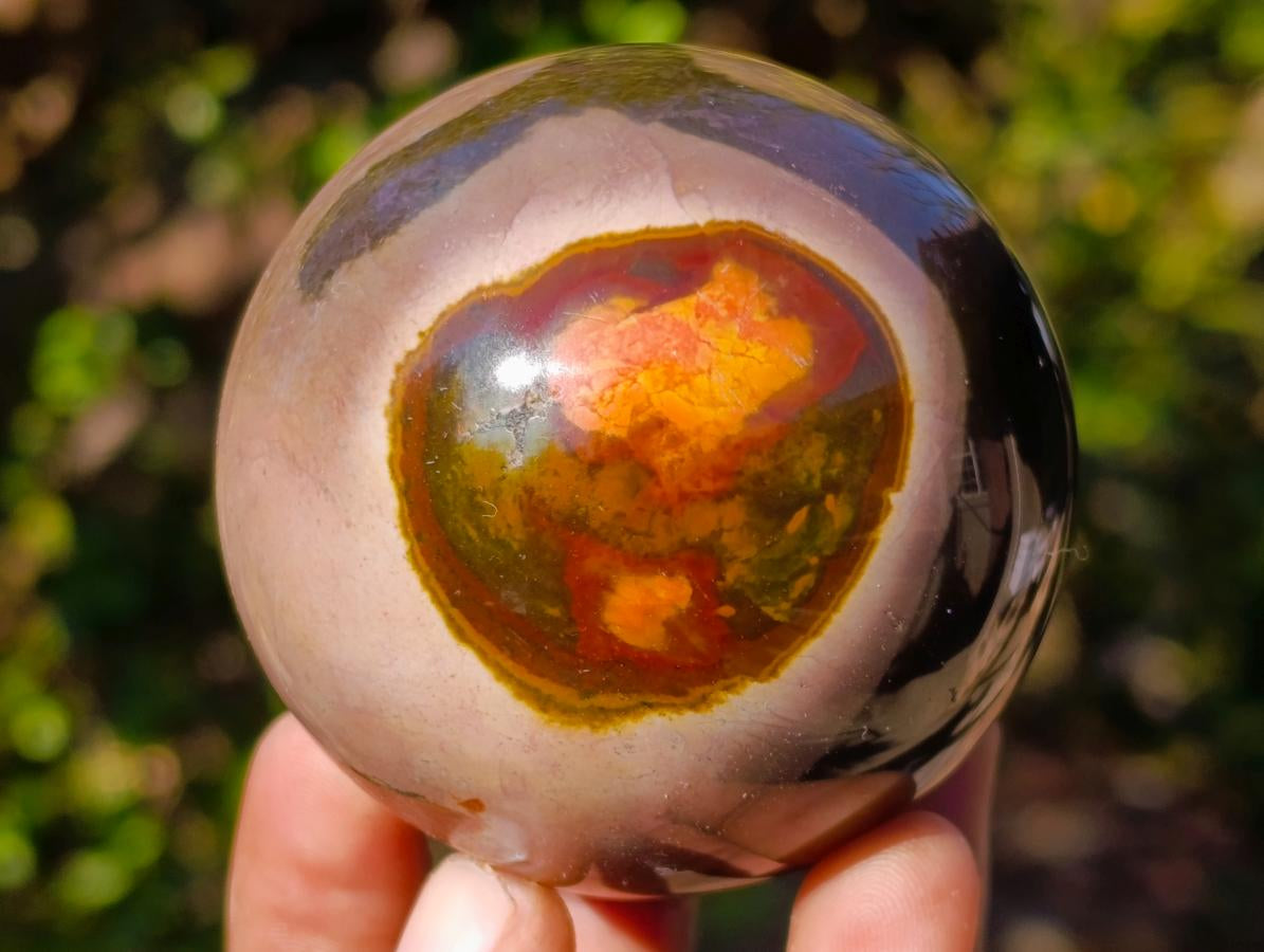 Polished Polychrome Jasper Spheres x 5 From Androka, Madagascar - Toprock Gemstones and Minerals 