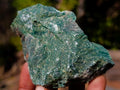 Natural Swazi Jade Cobbed Specimens x 24 From Swaziland - Toprock Gemstones and Minerals 