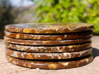 Hand Made Ammonite Conglomerate Table Coasters x 6 From Mahajanga, Madagascar - Toprock Gemstones and Minerals 