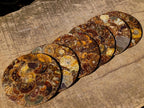 Hand Made Ammonite Conglomerate Table Coasters x 6 From Mahajanga, Madagascar - Toprock Gemstones and Minerals 