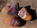 Polished One Side Red Shashe River Agate Nodules x 35 From Shashe River, Zimbabwe - Toprock Gemstones and Minerals 