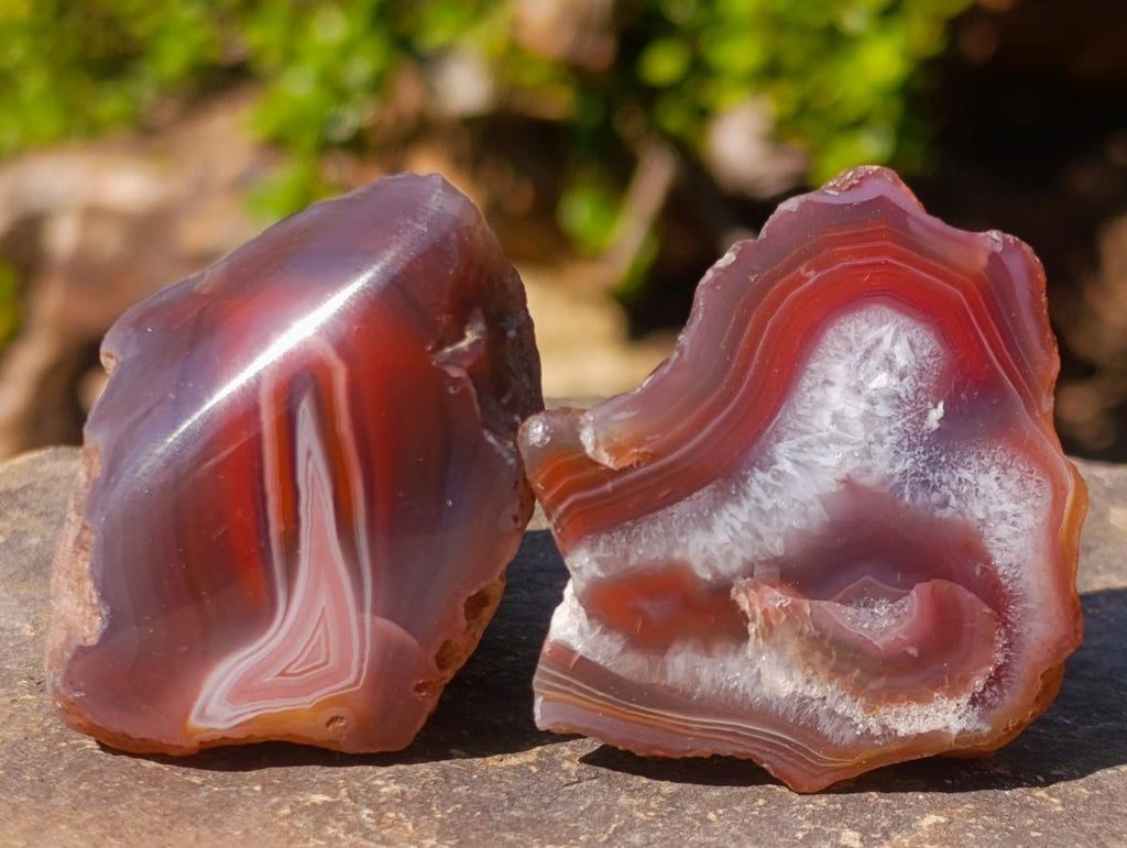 Polished One Side Red Shashe River Agate Nodules x 35 From Shashe River, Zimbabwe - Toprock Gemstones and Minerals 