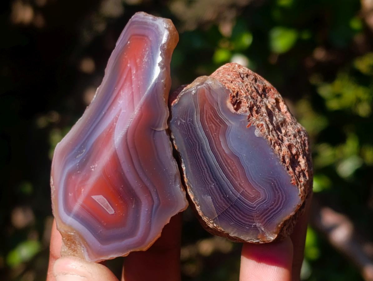 Polished One Side Red Shashe River Agate Nodules x 35 From Shashe River, Zimbabwe - Toprock Gemstones and Minerals 