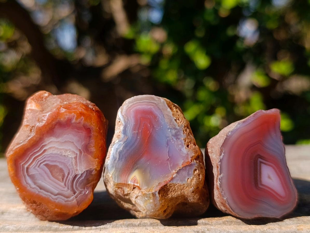 Polished One Side Red Shashe River Agate Nodules x 35 From Shashe River, Zimbabwe - Toprock Gemstones and Minerals 