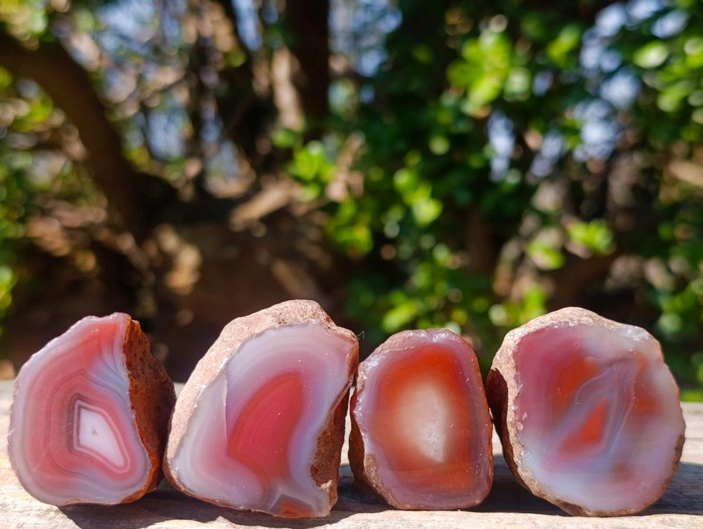 Polished One Side Red Shashe River Agate Nodules x 35 From Shashe River, Zimbabwe - Toprock Gemstones and Minerals 
