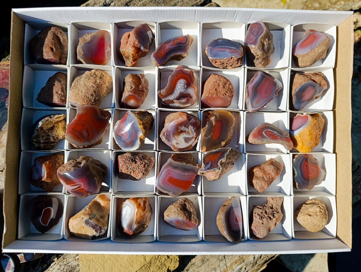 Polished One Side Red Shashe River Agate Nodules x 35 From Shashe River, Zimbabwe - Toprock Gemstones and Minerals 