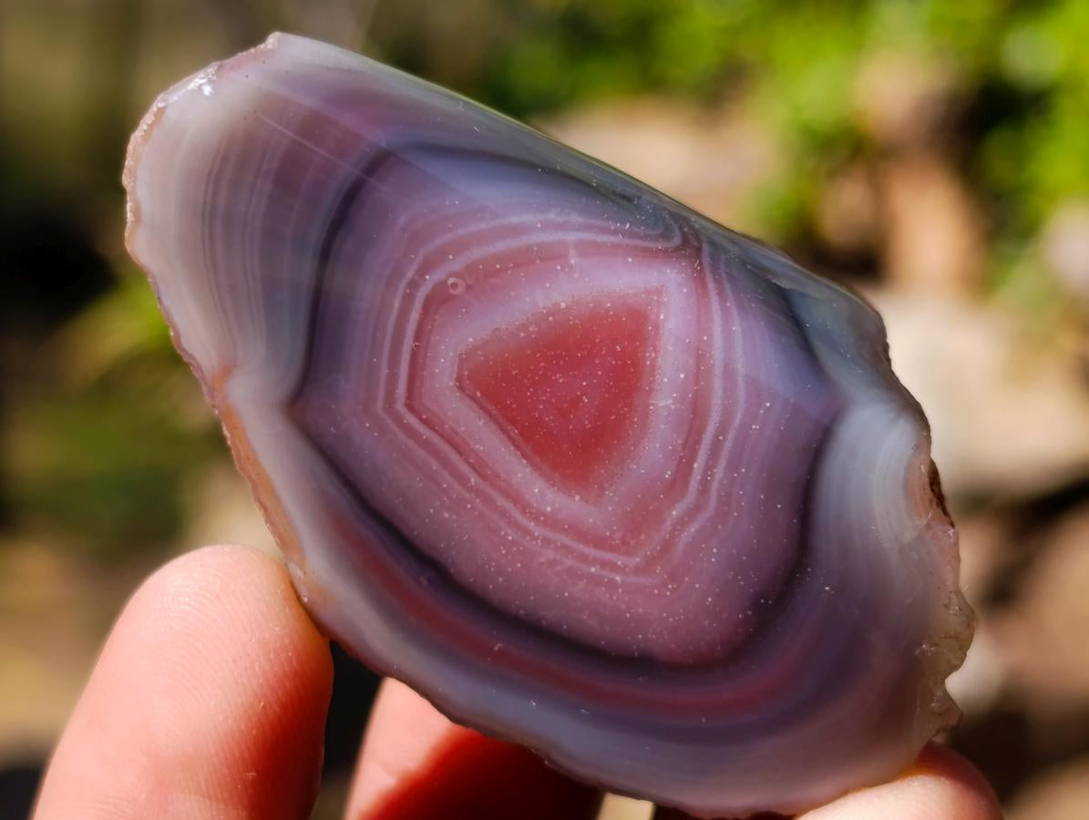 Polished One Side Red Shashe River Agate Nodules x 35 From Shashe River, Zimbabwe - Toprock Gemstones and Minerals 