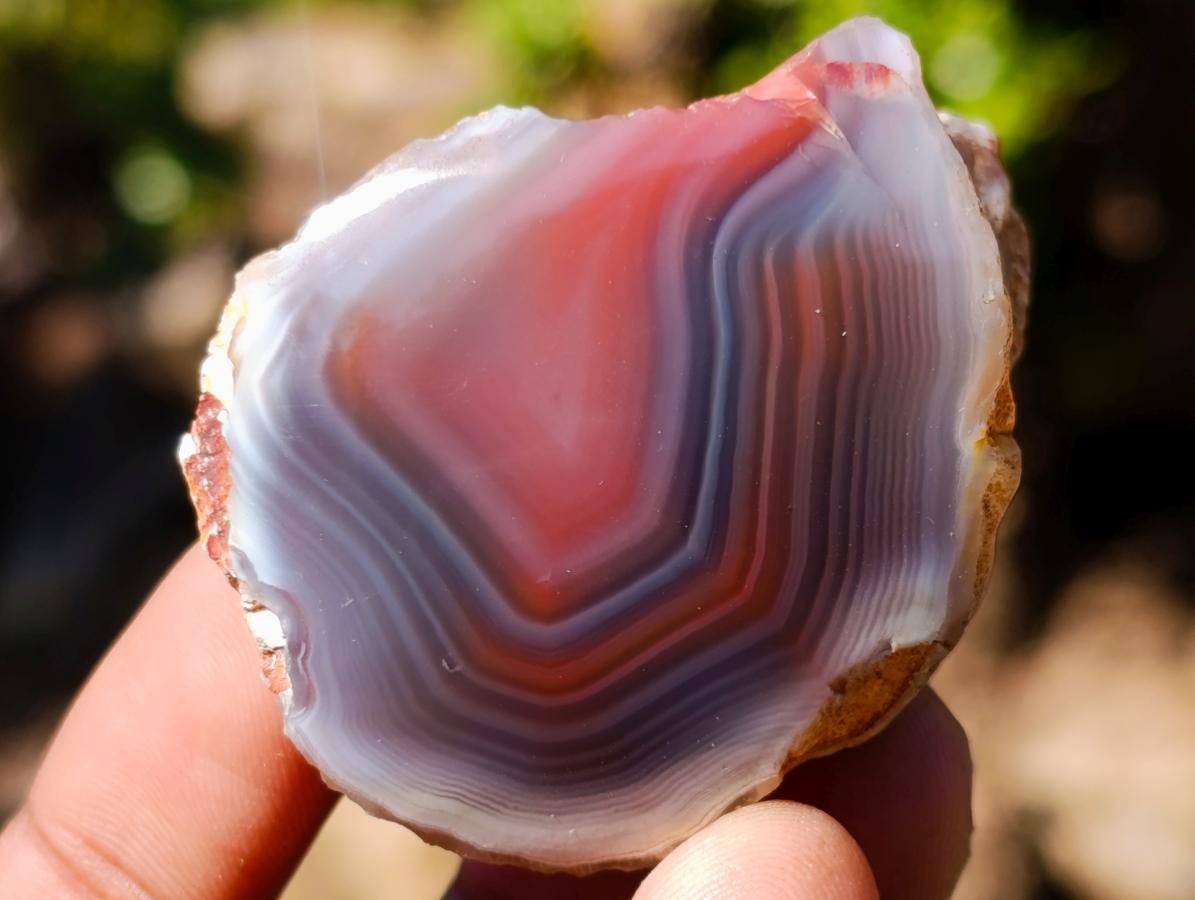 Polished One Side Red Shashe River Agate Nodules x 35 From Shashe River, Zimbabwe - Toprock Gemstones and Minerals 