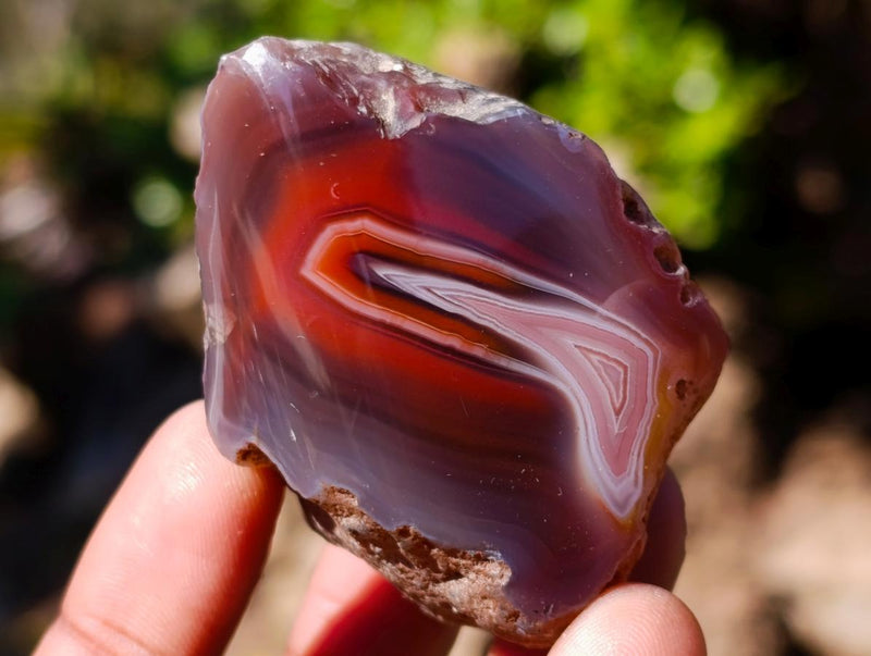Polished One Side Red Shashe River Agate Nodules x 35 From Shashe River, Zimbabwe - Toprock Gemstones and Minerals 