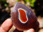 Polished One Side Red Shashe River Agate Nodules x 35 From Shashe River, Zimbabwe - Toprock Gemstones and Minerals 