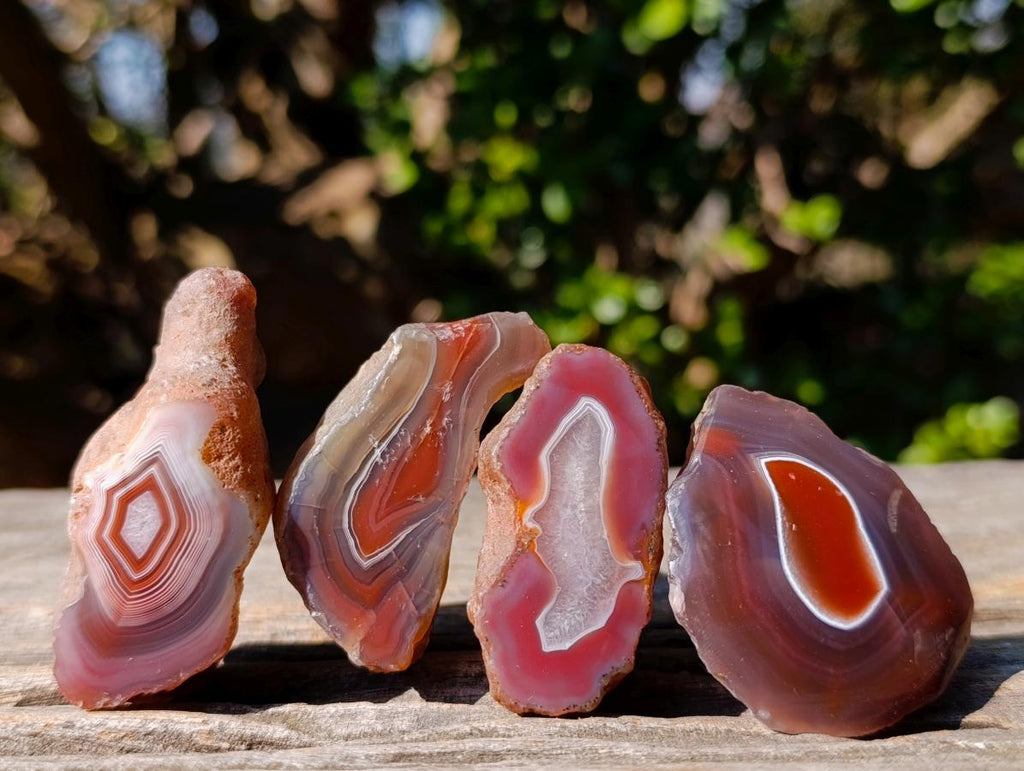 Polished One Side Red Shashe River Agate Nodules x 35 From Shashe River, Zimbabwe - Toprock Gemstones and Minerals 