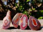 Polished One Side Red Shashe River Agate Nodules x 35 From Shashe River, Zimbabwe - Toprock Gemstones and Minerals 
