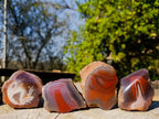 Polished One Side Red Shashe River Agate Nodules x 35 From Shashe River, Zimbabwe - Toprock Gemstones and Minerals 