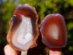 Polished One Side Red Shashe River Agate Nodules x 35 From Shashe River, Zimbabwe - Toprock Gemstones and Minerals 