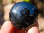Polished Black Tourmaline Jewellery Size Galets x 70 From Madagascar - Toprock Gemstones and Minerals 