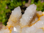 Natural White Spirit Quartz Clusters x 4 From Boekenhouthoek, South Africa - Toprock Gemstones and Minerals 