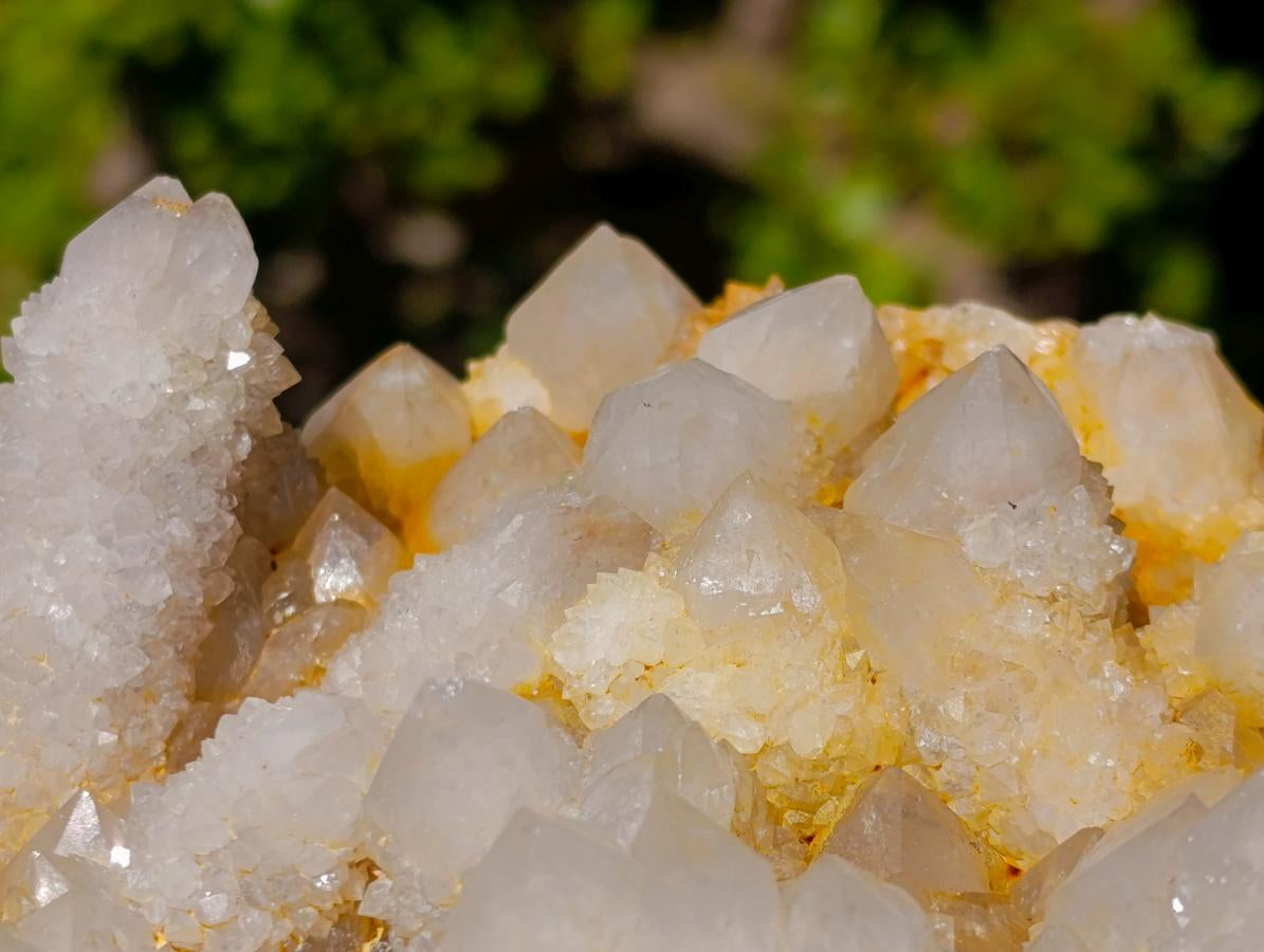 Natural White Spirit Quartz Clusters x 4 From Boekenhouthoek, South Africa - Toprock Gemstones and Minerals 