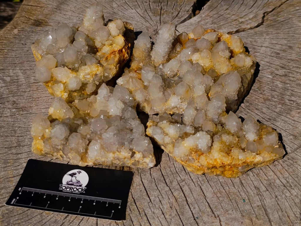 Natural White Spirit Quartz Clusters x 4 From Boekenhouthoek, South Africa - Toprock Gemstones and Minerals 