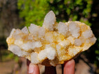 Natural White Spirit Quartz Clusters x 4 From Boekenhouthoek, South Africa - Toprock Gemstones and Minerals 