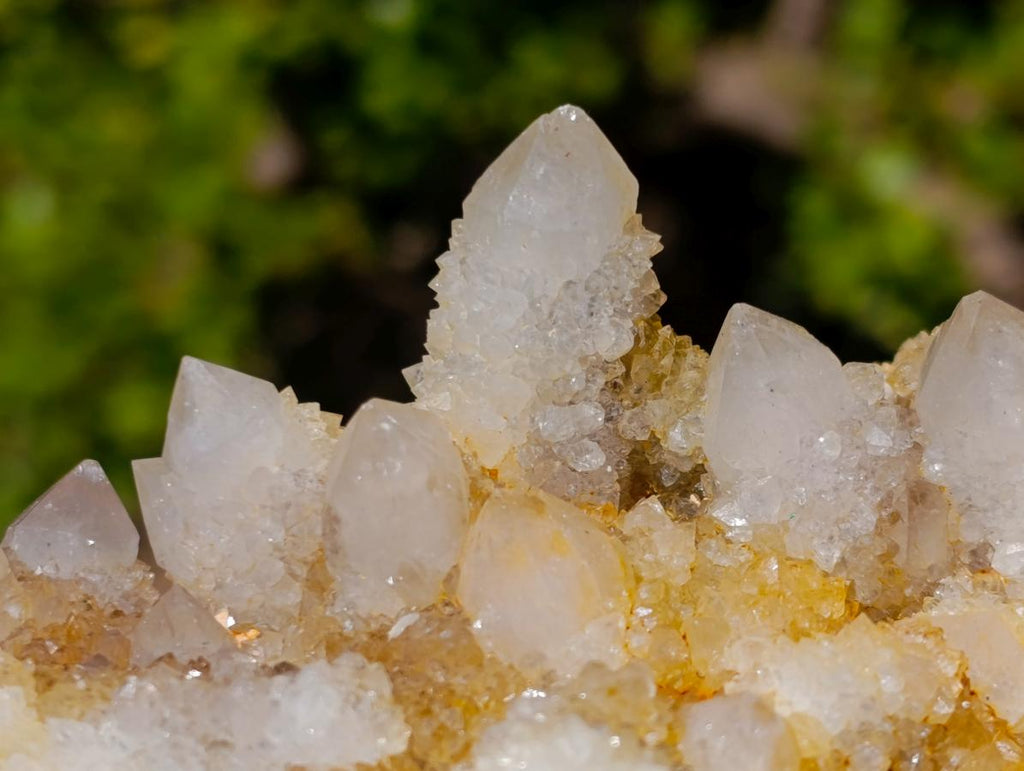 Natural White Spirit Quartz Clusters x 4 From Boekenhouthoek, South Africa - Toprock Gemstones and Minerals 