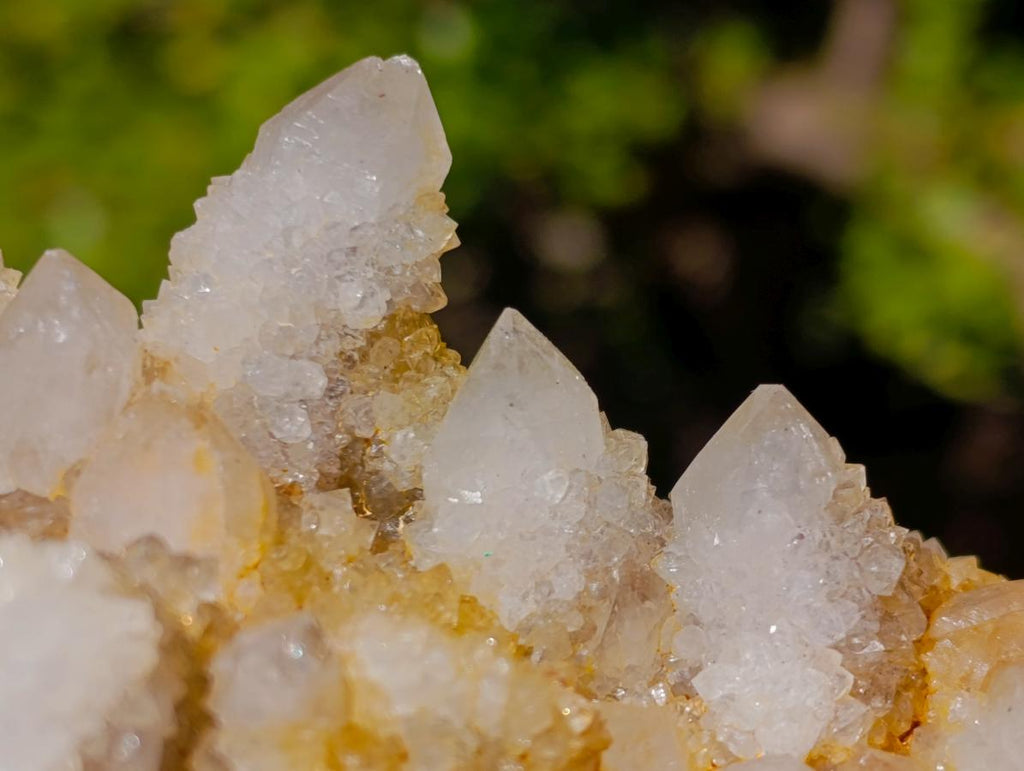 Natural White Spirit Quartz Clusters x 4 From Boekenhouthoek, South Africa - Toprock Gemstones and Minerals 