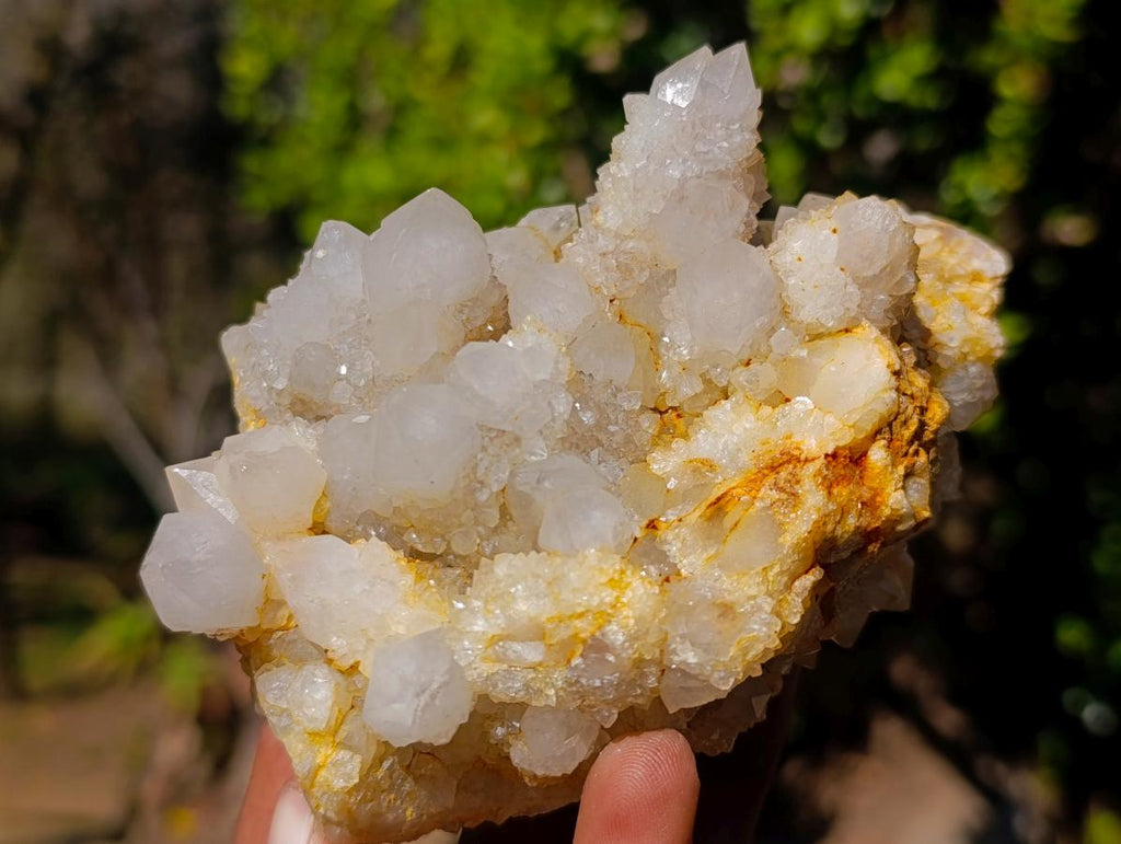 Natural White Spirit Quartz Clusters x 4 From Boekenhouthoek, South Africa - Toprock Gemstones and Minerals 
