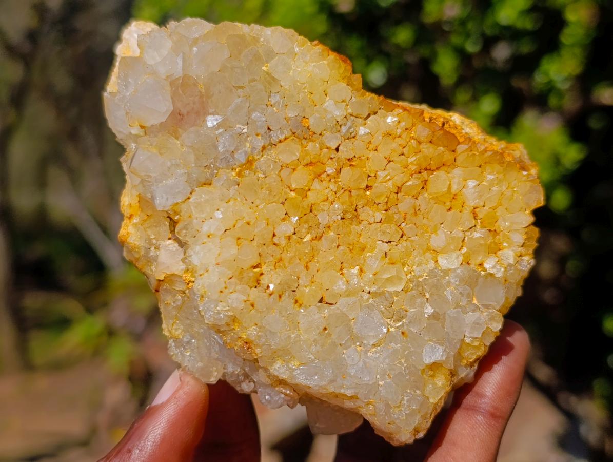 Natural White Spirit Quartz Clusters x 4 From Boekenhouthoek, South Africa - Toprock Gemstones and Minerals 