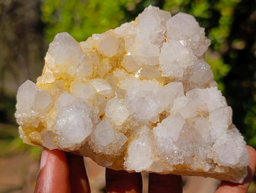 Natural White Spirit Quartz Clusters x 4 From Boekenhouthoek, South Africa - Toprock Gemstones and Minerals 