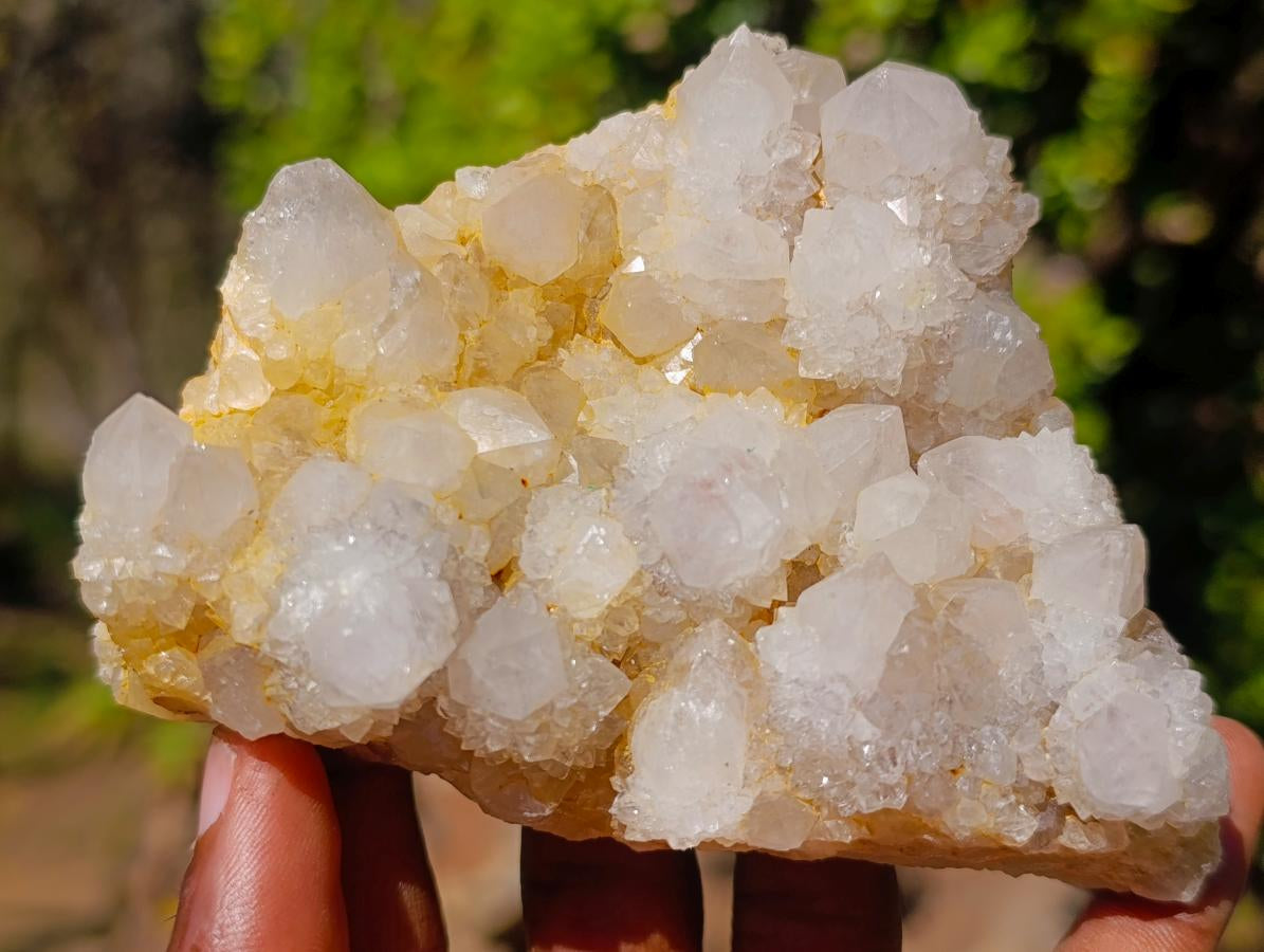 Natural White Spirit Quartz Clusters x 4 From Boekenhouthoek, South Africa - Toprock Gemstones and Minerals 