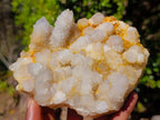 Natural White Spirit Quartz Clusters x 4 From Boekenhouthoek, South Africa - Toprock Gemstones and Minerals 