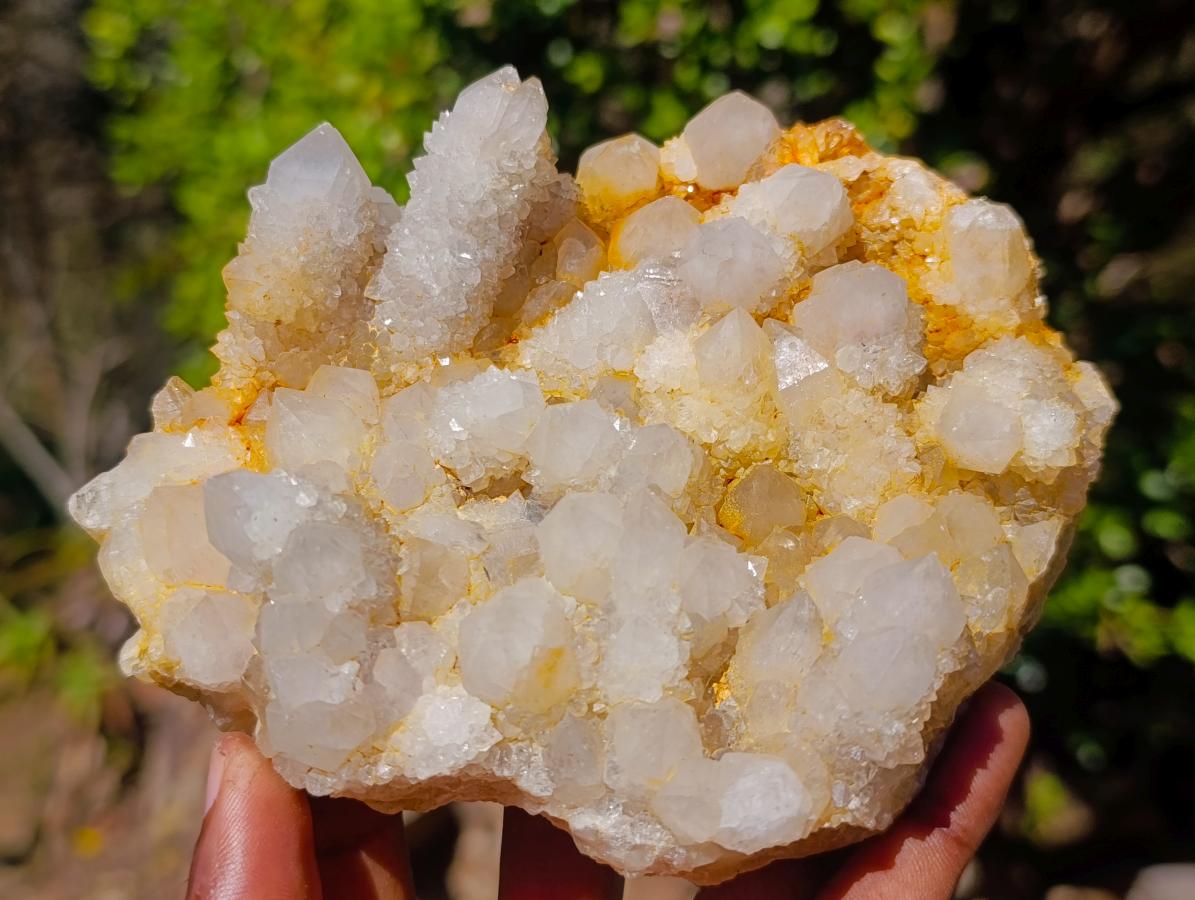 Natural White Spirit Quartz Clusters x 4 From Boekenhouthoek, South Africa - Toprock Gemstones and Minerals 