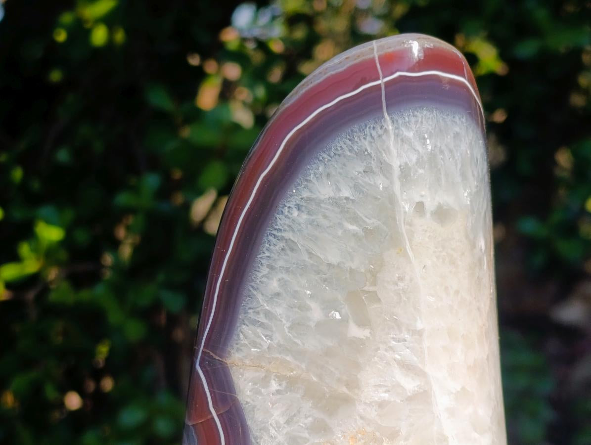 Polished Large Red Bordered Shashe River Agate Standing Display Piece x 1 From Shashe River, Zimbabwe - Toprock Gemstones and Minerals 