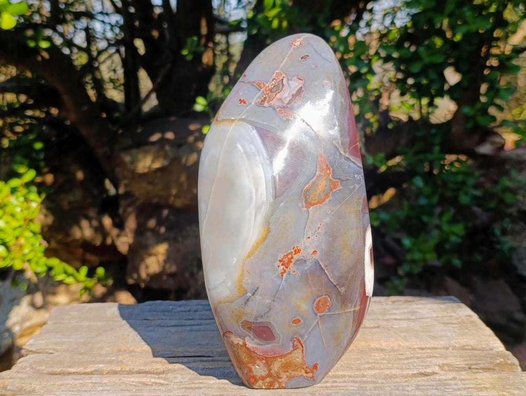 Polished Large Red Bordered Shashe River Agate Standing Display Piece x 1 From Shashe River, Zimbabwe - Toprock Gemstones and Minerals 