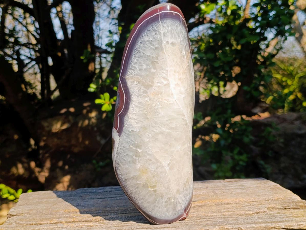 Polished Large Red Bordered Shashe River Agate Standing Display Piece x 1 From Shashe River, Zimbabwe - Toprock Gemstones and Minerals 
