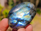 Polished Labradorite Palm Stones x 20 From Madagascar - Toprock Gemstones and Minerals 