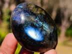 Polished Labradorite Palm Stones x 20 From Madagascar - Toprock Gemstones and Minerals 