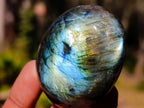 Polished Labradorite Palm Stones x 20 From Madagascar - Toprock Gemstones and Minerals 