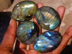 Polished Labradorite Palm Stones x 20 From Madagascar - Toprock Gemstones and Minerals 