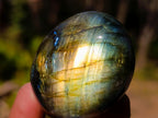 Polished Labradorite Palm Stones x 20 From Madagascar - Toprock Gemstones and Minerals 