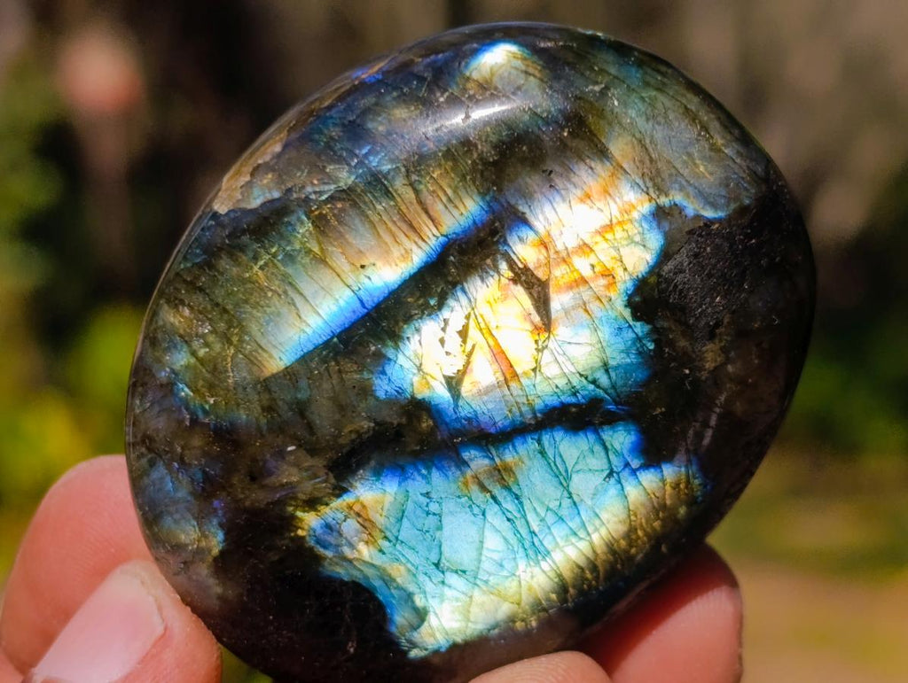Polished Labradorite Palm Stones x 20 From Madagascar - Toprock Gemstones and Minerals 