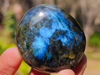 Polished Labradorite Palm Stones x 20 From Madagascar - Toprock Gemstones and Minerals 